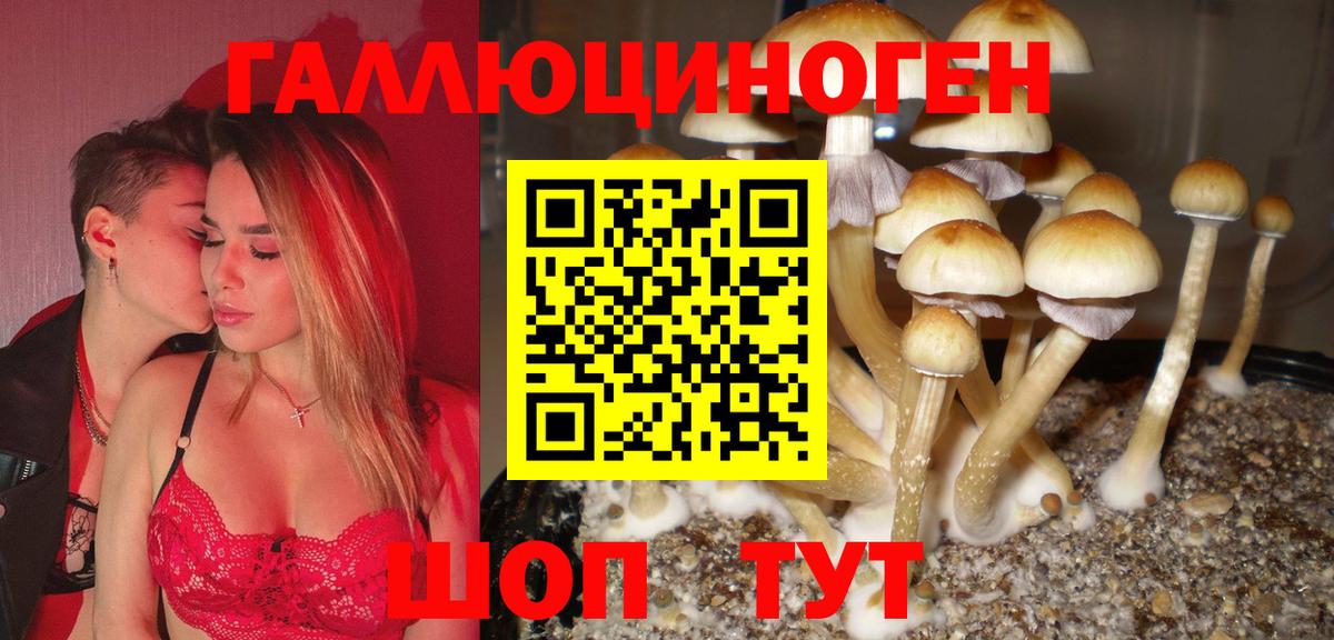 Галлюциногенные грибы мухоморы Тельмана
